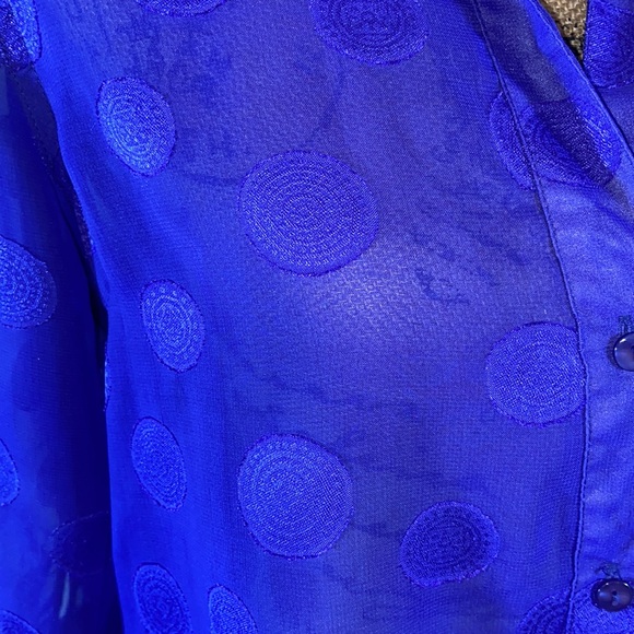 Dana Gibson Sheer Retro Blue Polka Dot Button Down Top M - Picture 6 of 12